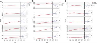 Health policy implications for cardiovascular disease, type 2 diabetes mellitus, and stroke in Central Asia: a decadal forecast of their impact on women of reproductive age